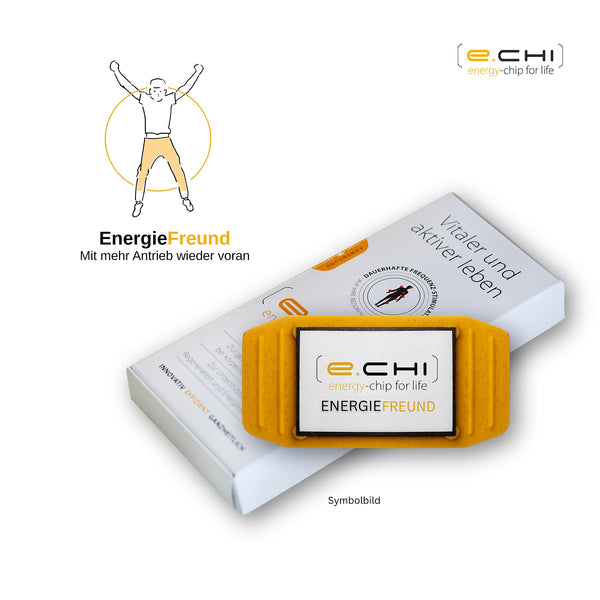 ENERGIEFreund e-chi