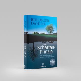 Das Schatten-Prinzip, HC – Buchcover