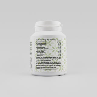 Ginkgo OPC 90 – Seitenansicht mit Zusammensetzung