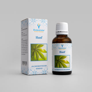Hanf-Essenz – Vorderseite