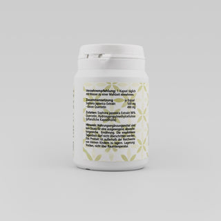 Quercetin Extrakt Kapseln