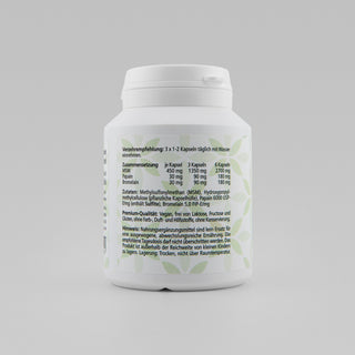 MSM Enzym – Back