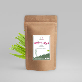 Bio Gerstengras pur mit Pflanze