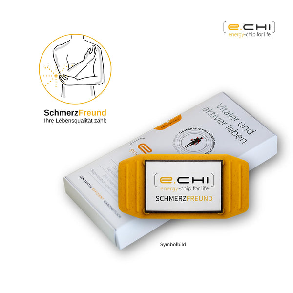 SchmerzFreund e-chi