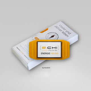EnergieFreund e-chi