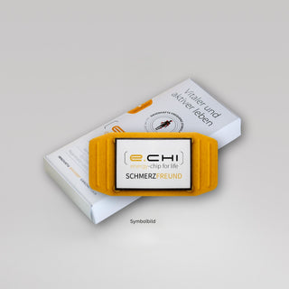 SchmerzFreund e-chi